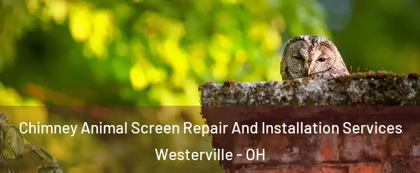  Chimney Animal Screen Repair And Installation Services Westerville - OH