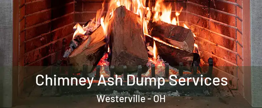  Chimney Ash Dump Services Westerville - OH