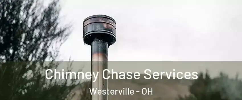  Chimney Chase Services Westerville - OH