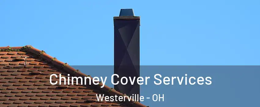  Chimney Cover Services Westerville - OH