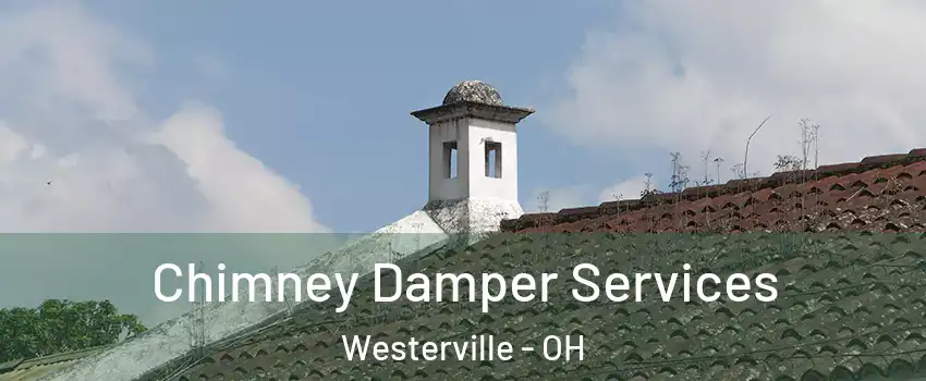  Chimney Damper Services Westerville - OH