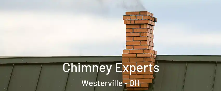  Chimney Experts Westerville - OH