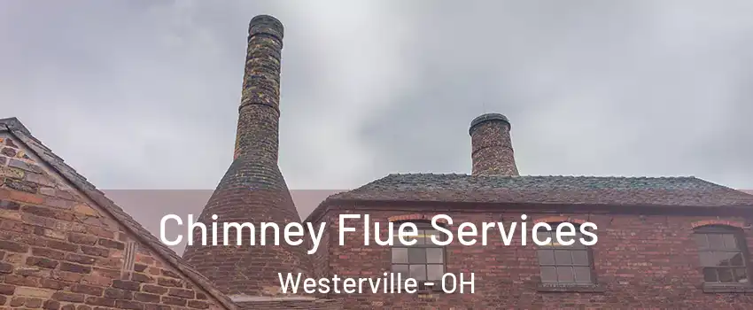  Chimney Flue Services Westerville - OH