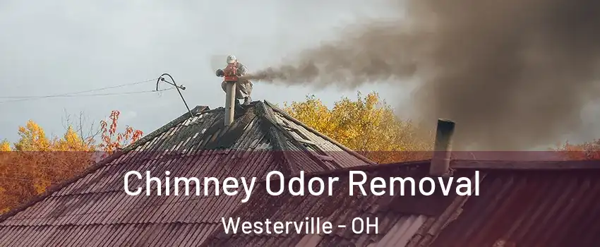  Chimney Odor Removal Westerville - OH