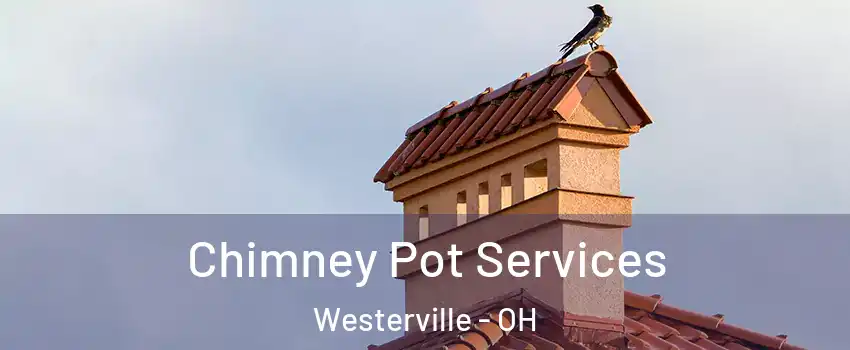  Chimney Pot Services Westerville - OH