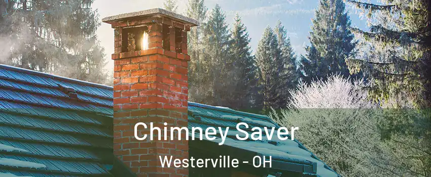  Chimney Saver Westerville - OH