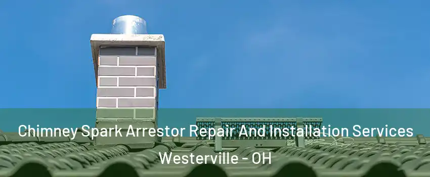  Chimney Spark Arrestor Repair And Installation Services Westerville - OH