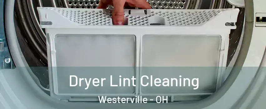 Dryer Lint Cleaning Westerville - OH