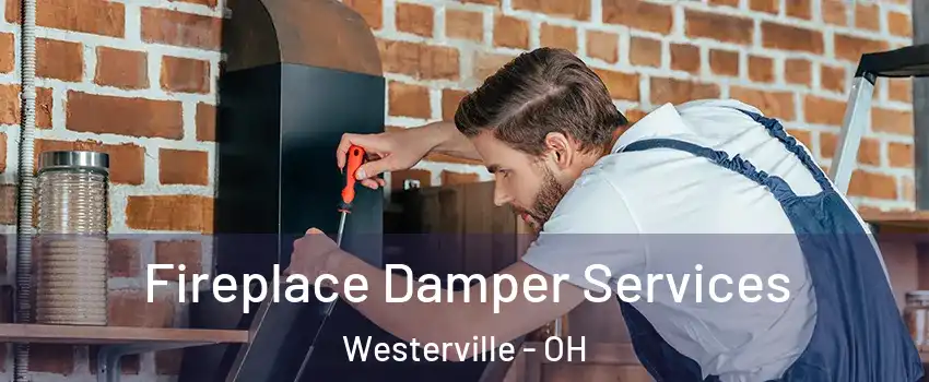  Fireplace Damper Services Westerville - OH