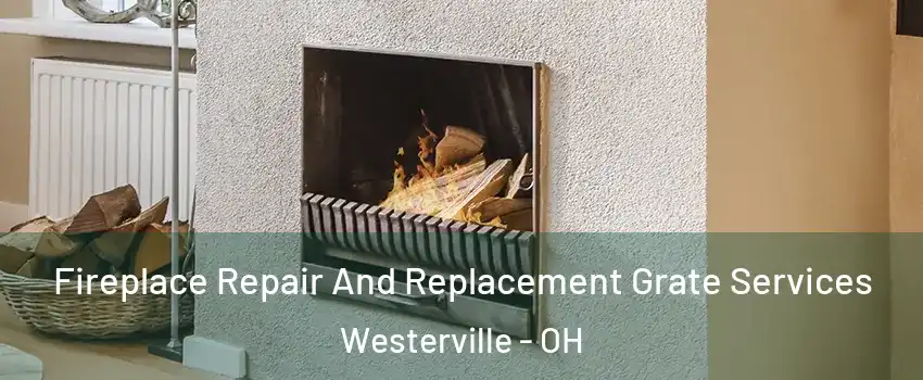  Fireplace Repair And Replacement Grate Services Westerville - OH