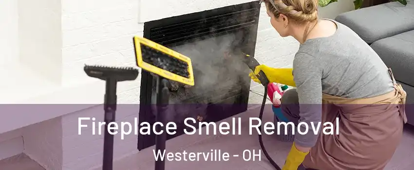  Fireplace Smell Removal Westerville - OH