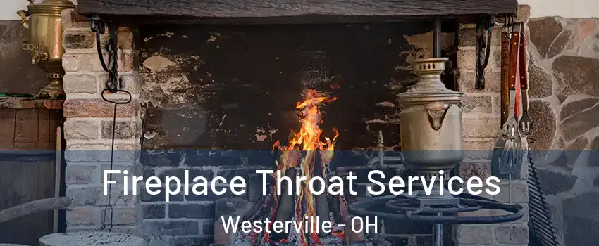 Fireplace Throat Services Westerville - OH