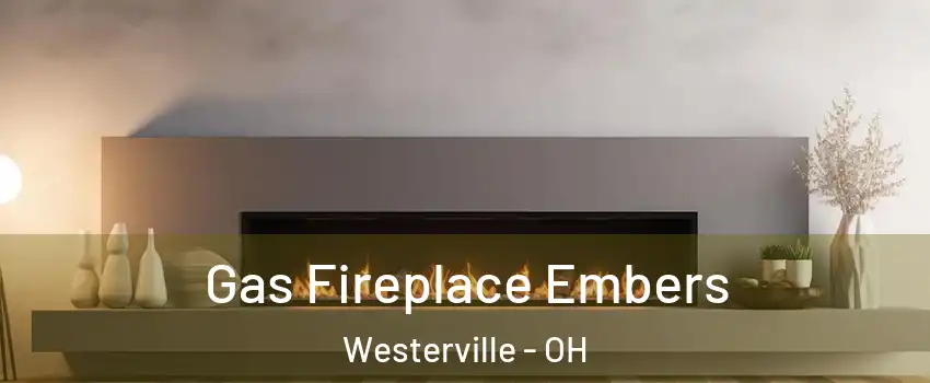  Gas Fireplace Embers Westerville - OH