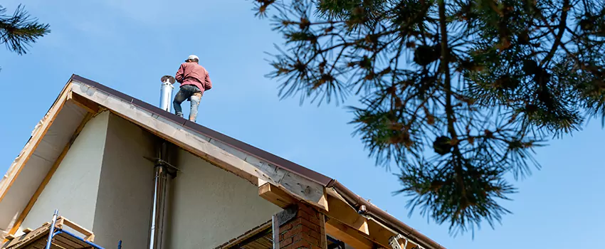 Birds Removal Contractors from Chimney in Westerville, OH
