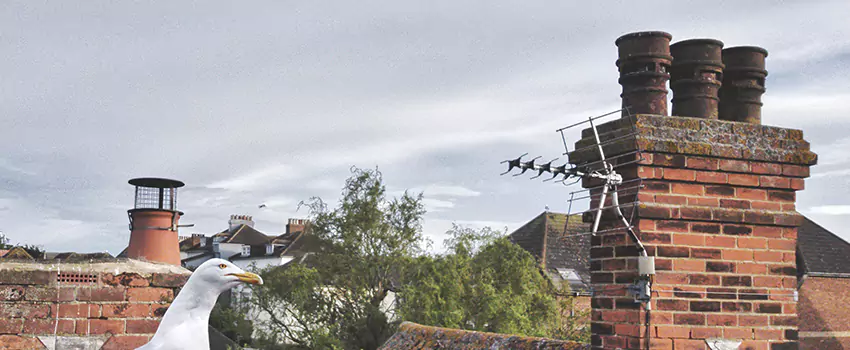 Chimney Cleaning And Restoration in Westerville, Ohio