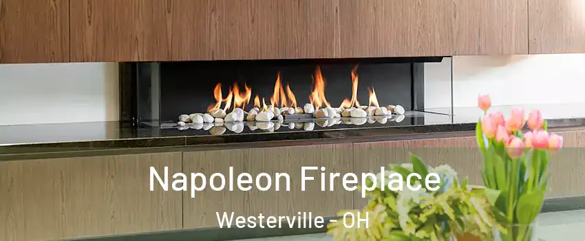 Napoleon Fireplace Westerville - OH