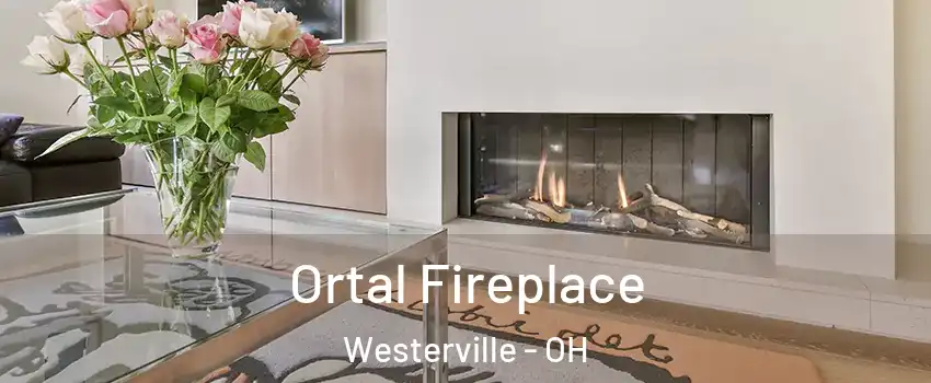 Ortal Fireplace Westerville - OH